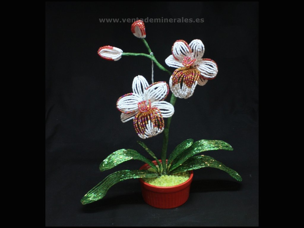 ORCHIDS AND POT MADE IN ABOLORIO