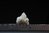 Calcite from Linares, Jaen