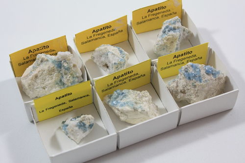 Blue Apatite (Salamanca) in 4x4 boxes (6 units minimum)
